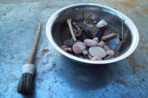 OLYMPUS DIGITAL CAMERA