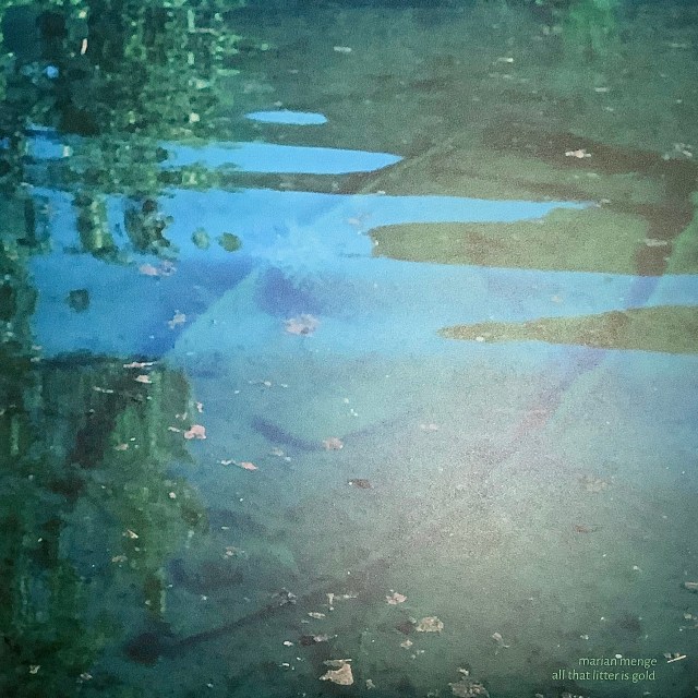 Neues Album: MARIAN MENGE All that litter is gold 2025